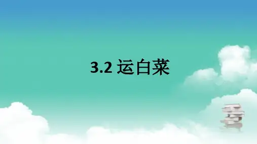 北师大版三年级上数学 3.2 运白菜 PPT