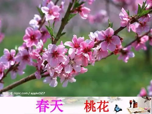 一年级语文上册古诗诵读梅花 PPT精品课件1鄂教版