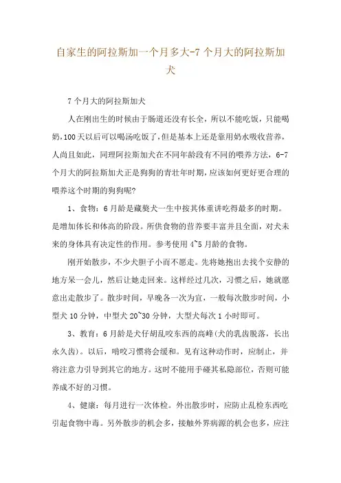 自家生的阿拉斯加一个月多大-7个月大的阿拉斯加犬
