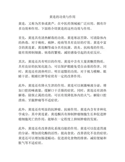 黄连的功效与作用