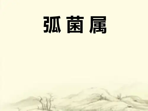 弧菌属_精品文档