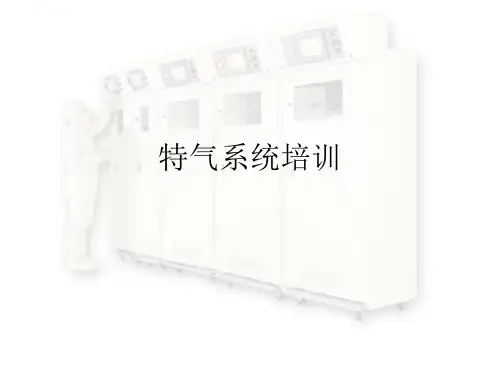 特气系统培训