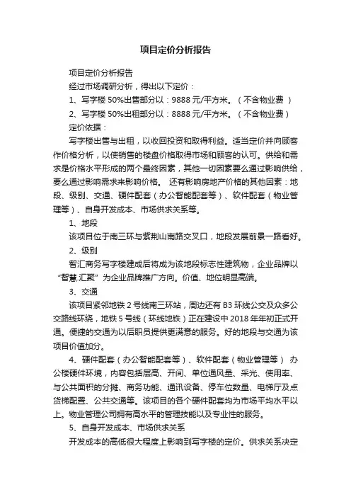 项目定价分析报告