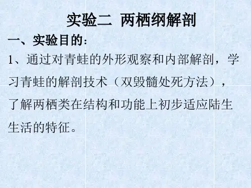 实验二 青蛙的解剖