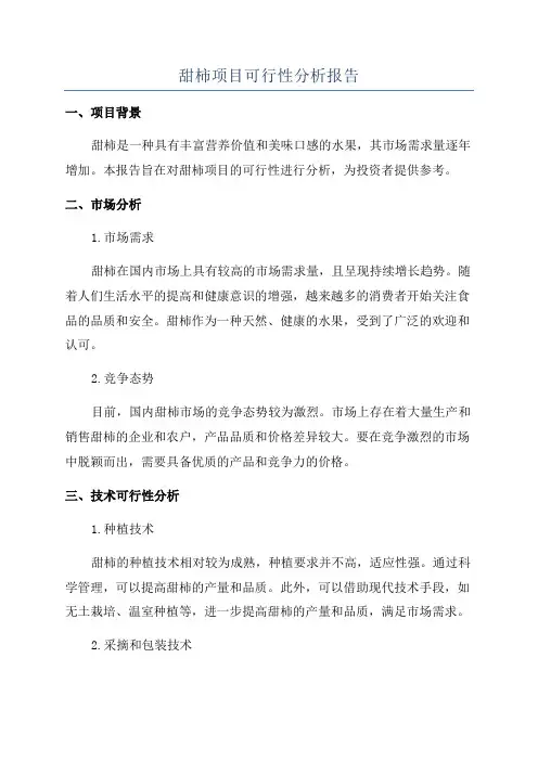 甜柿项目可行性分析报告