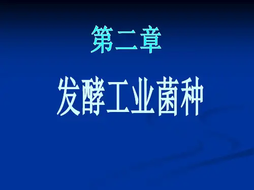 发酵工程 第2章 发酵工业菌种PPT课件