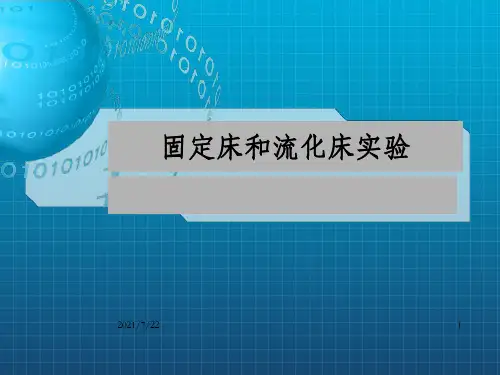 化工基础实验 固定床和流化床实验