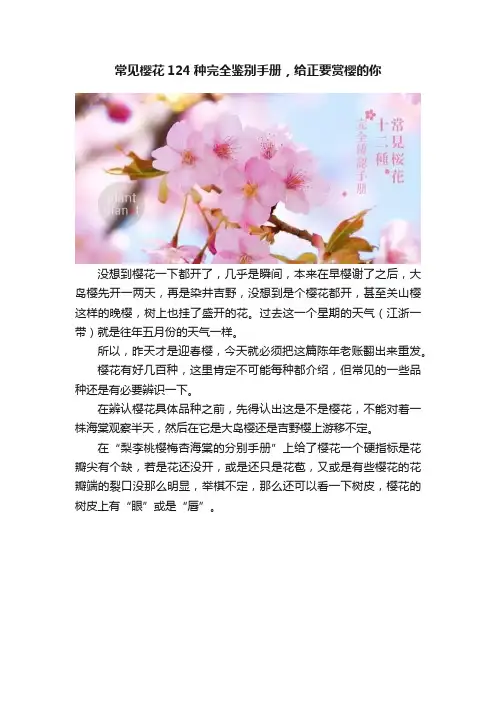 常见樱花124种完全鉴别手册，给正要赏樱的你