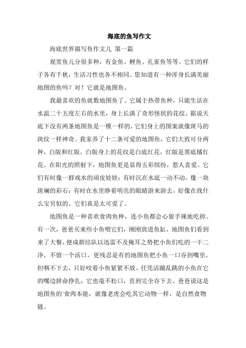 海底的鱼写作文