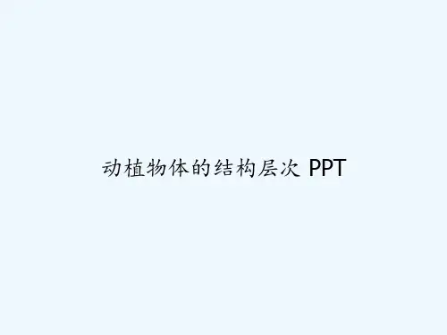 动植物体的结构层次 PPT