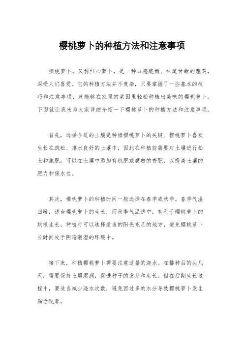 樱桃萝卜的种植方法和注意事项