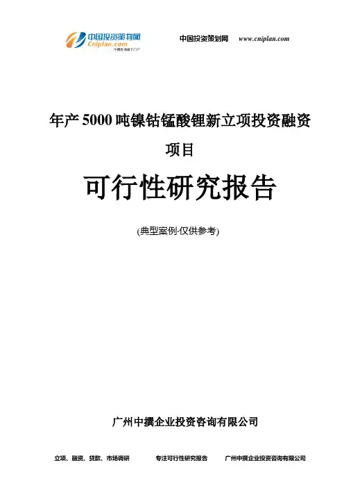 年产5000吨镍钴锰酸锂新融资投资立项项目可行性研究报告(中撰咨询)
