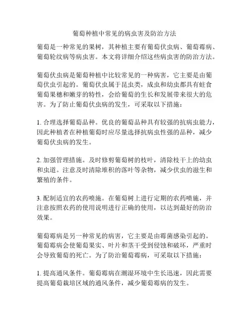 葡萄种植中常见的病虫害及防治方法