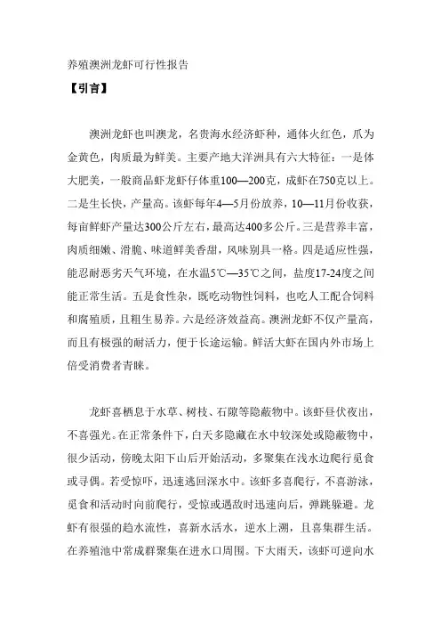 养殖澳洲龙虾可行性报告