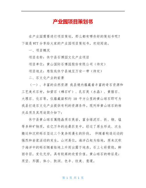 产业园项目策划书