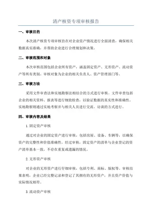 清产核资专项审核报告