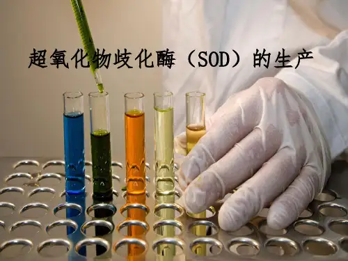 超氧化物歧化酶SOD的生产