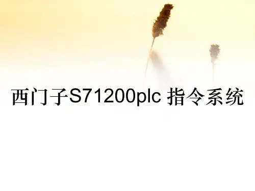 西门子S71200plc 指令系统(收藏)