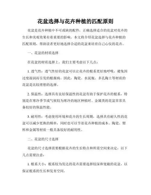 花盆选择与花卉种植的匹配原则