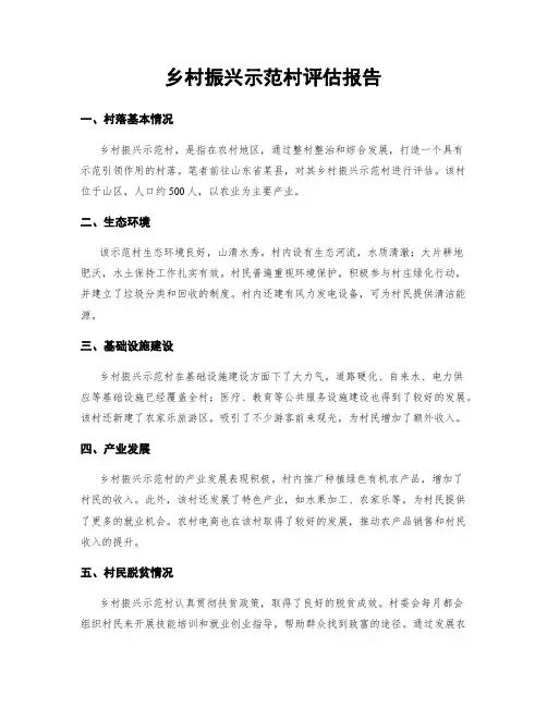 乡村振兴示范村评估报告