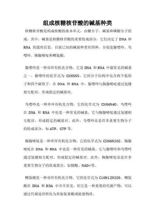 组成核糖核苷酸的碱基种类