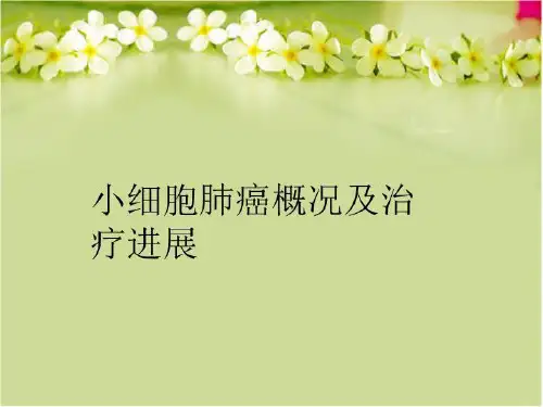 【精品】小细胞肺癌概况及治疗进展教学课件
