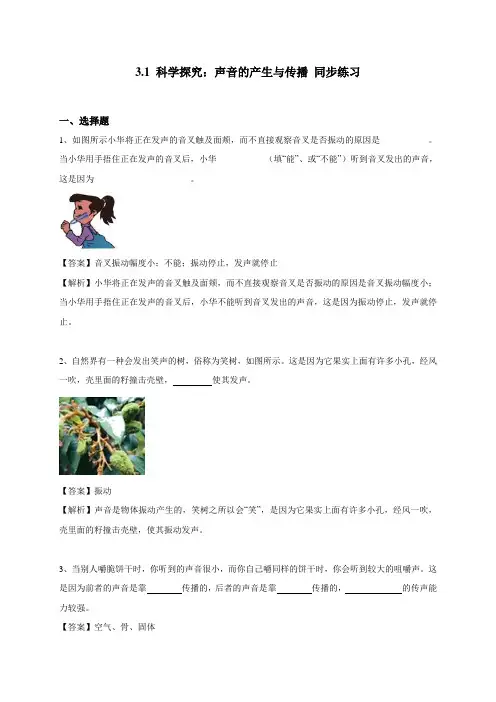 3.1 科学探究：声音的产生与传播 同步练习(解析版)