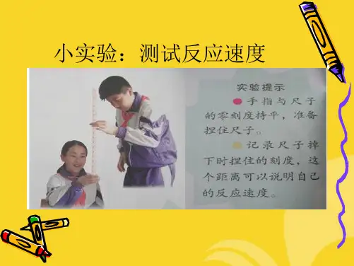 青岛版小学科学课件五下脑与神经(共7张PPT)