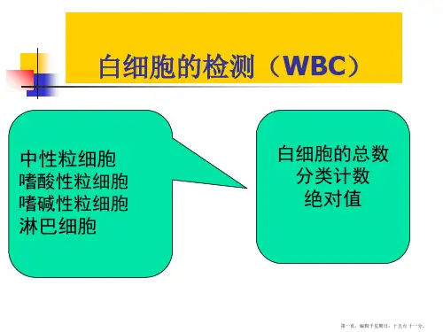 WBC计数-(share)