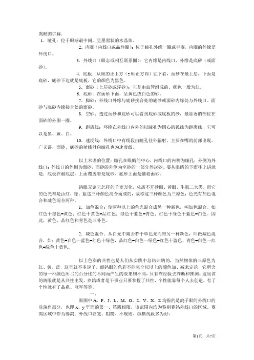鸽眼图讲解