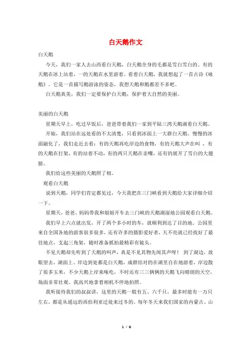 白天鹅作文