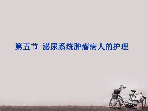 泌尿系统肿瘤病人的护理  ppt课件