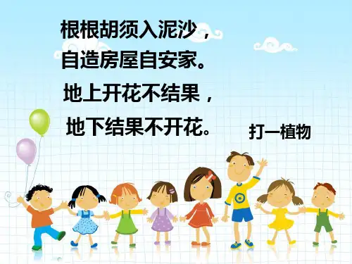 落花生(完美版)ppt