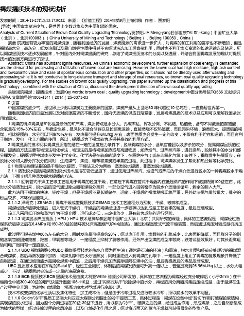 褐煤提质技术的现状浅析