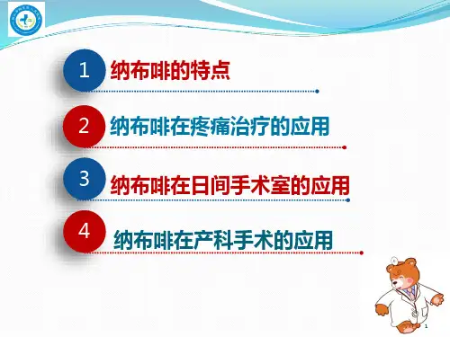 纳布啡在镇痛治疗的应用