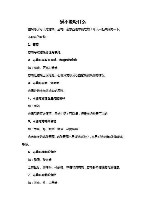 猫不能吃什么