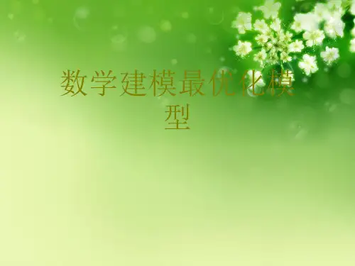 数学建模最优化模型优秀课件 (2)