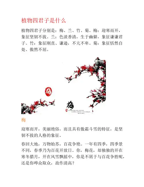 植物四君子是什么