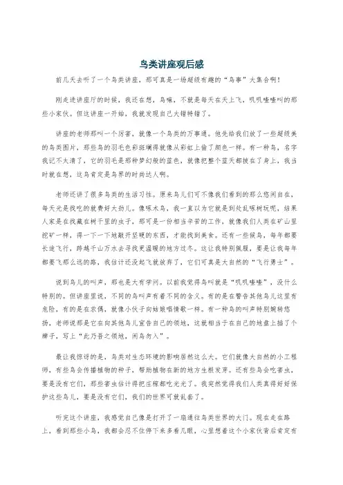 鸟类讲座观后感
