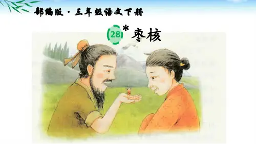 2019部编版三年级下册语文第28课《枣核》公开课PPT课件