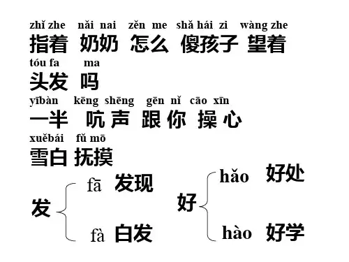 奶奶的白发PPT课件 (2)