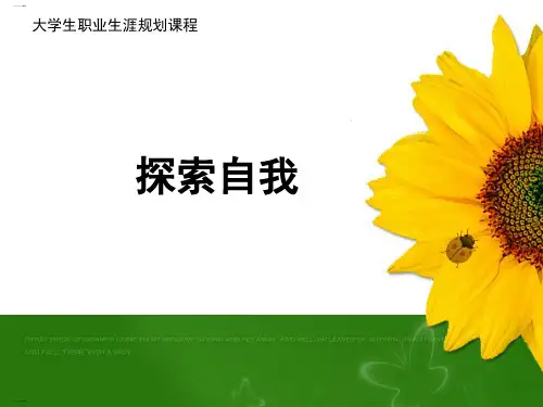 大学生职业生涯规划之探索自我(PPT137页)