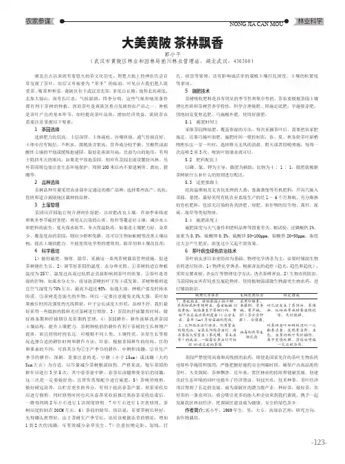 大美黄陂 茶林飘香