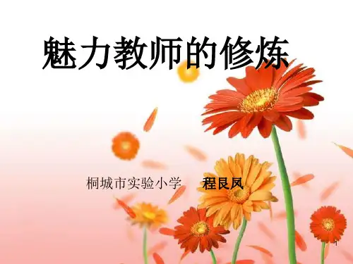 魅力教师的修炼(课堂PPT)