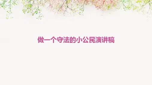 做一个守法的小公民演讲稿PPT