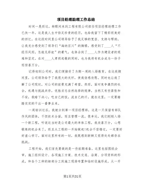 项目经理助理工作总结(10篇)