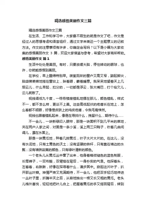 精选感悟美丽作文三篇