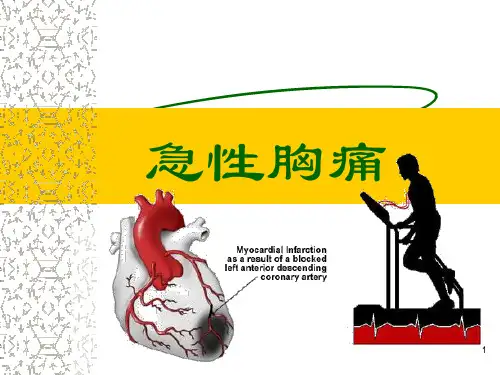 急性胸痛的护理PPT幻灯片课件