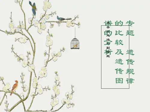 遗传规律的比较及遗传图谱的分析