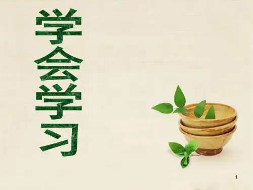 主题班会：学会学习PPT教学课件